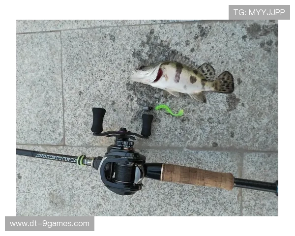 微信天天路亚游戏全新升级欢乐钓鱼玩法打造真实钓鱼体验与社交乐趣 微信天天路亚游戏全新升级欢乐钓鱼玩法打造真实钓鱼体验与社交乐趣